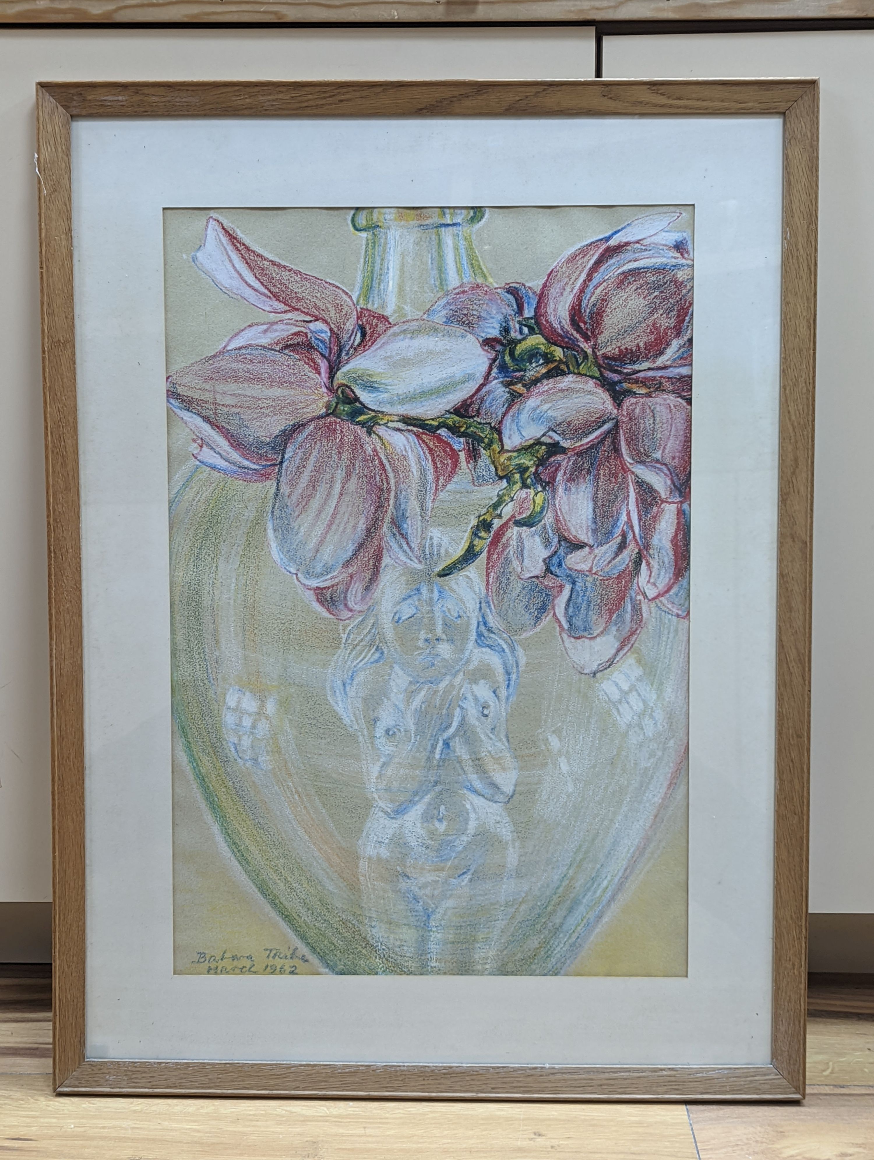 Barbara Tribe (1913-2000), coloured crayons, Study of magnolia, signed and dated 1962, 55 x 37cm